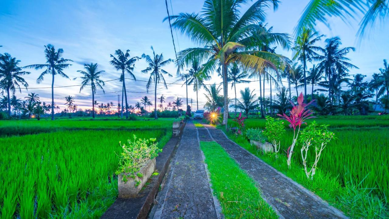 Maruan Sari Apartamento Ubud Exterior foto