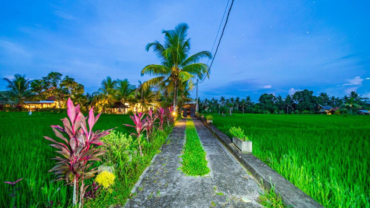 Maruan Sari Apartamento Ubud Exterior foto